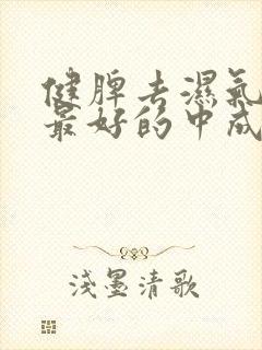 健脾去湿气补肾最好的中成药