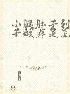 小腿肚子到脚脖子酸疼是怎么回事封面