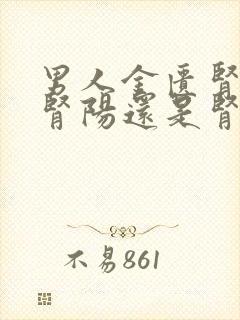 男人金匮肾气补肾阳还是肾阴