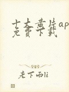 十大黄片app免费下载