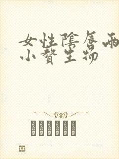 女性阴唇两边长小赘生物