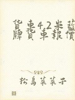 货车4.2米蓝牌货车报价