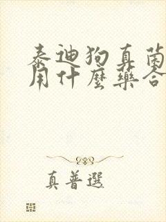 泰迪狗真菌感染用什么药合适