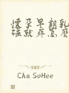 怀孕早期乳头一碰就疼怎么回事封面