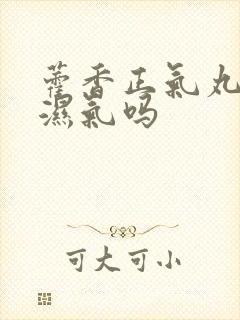 藿香正气丸能除湿气吗