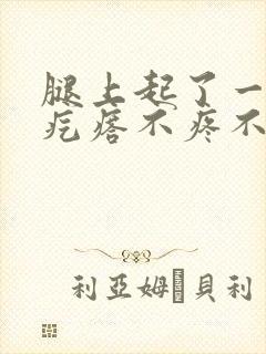 腿上起了一个硬疙瘩不疼不痒