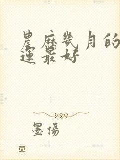 农历几月的马命运最好封面