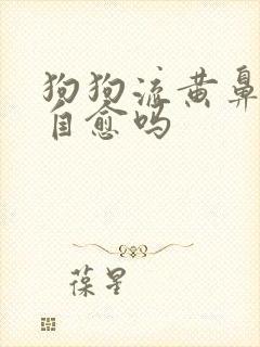 狗狗流黄鼻涕能自愈吗封面