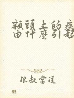 额头上的痤疮是由什么引起的