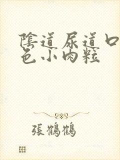 阴道尿道口长白色小肉粒封面