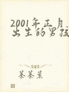 2001年正月出生的男孩命运怎样