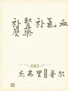 补肾补气血吃什么药