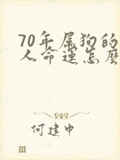 70年属狗的男人命运怎么样封面