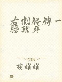 右侧胳膊一抬肩膀就疼封面