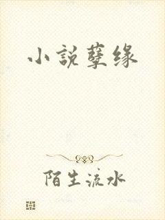 小说孽缘