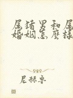 属猪男和属龙女婚姻怎么样