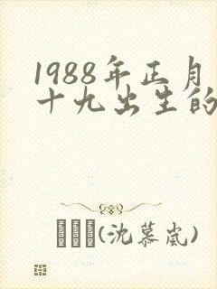 1988年正月十九出生的命运封面