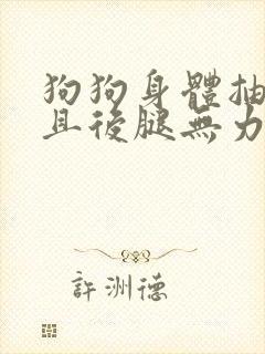 狗狗身体抽搐并且后腿无力