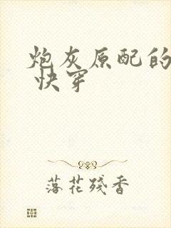 炮灰原配的人生 快穿封面