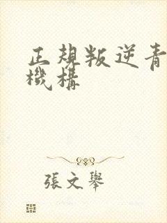 正规叛逆青少年机构