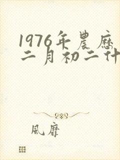1976年农历二月初二什么命