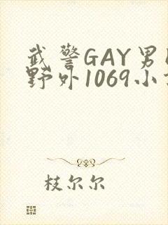 武警GAY男同野外1069小说封面