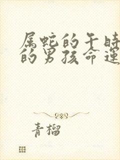 属蛇的午时出生的男孩命运