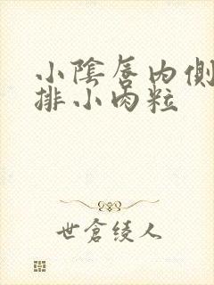 小阴唇内侧长一排小肉粒