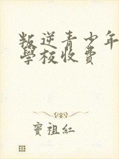 叛逆青少年封闭学校收费