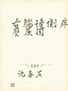 右脑后侧疼是什么原因