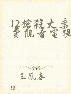 12枪杀大案免费观看电视剧