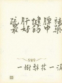 疏肝健脾祛湿气最好的中药方剂