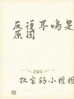 反复耳鸣是什么原因