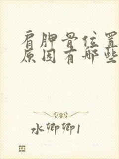 肩胛骨位置疼痛原因有哪些封面