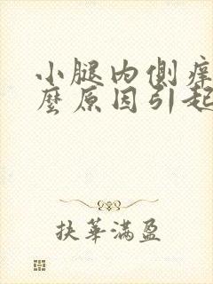 小腿内侧痒是什么原因引起的