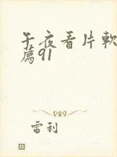 午夜看片软件推荐91封面