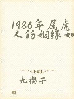 1986年属虎人的姻缘如何封面