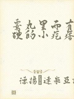 睾丸里面有个硬硬的小疙瘩