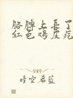 胳膊上长了很多红色鸡皮疙瘩封面