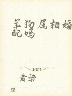 羊狗属相婚姻相配吗