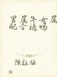 男属牛女属虎婚配合适吗