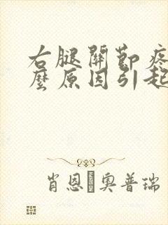 右腿关节疼是什么原因引起的