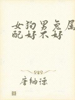 女狗男兔属相婚配好不好封面