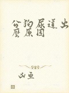 公狗尿道出血什么原因封面