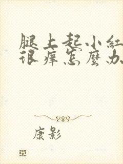 腿上起小红疙瘩很痒怎么办封面