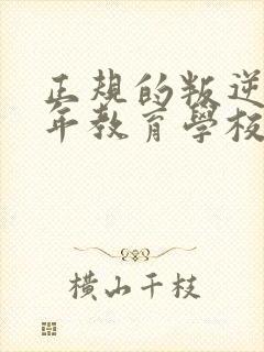 正规的叛逆青少年教育学校