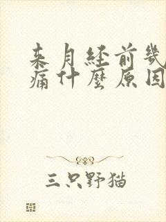 来月经前几天腰痛什么原因造成的呢