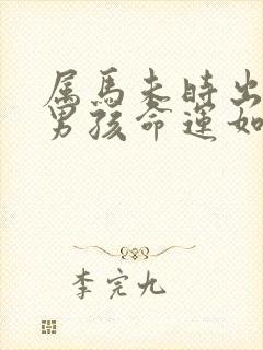 属马未时出生的男孩命运如何封面