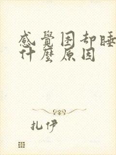 感觉困却睡不着什么原因