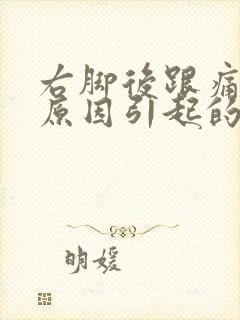 右脚后跟痛什么原因引起的